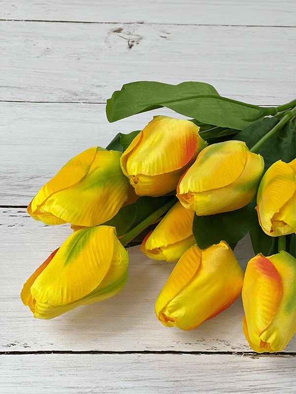Tulipan Duzy żółty Tło