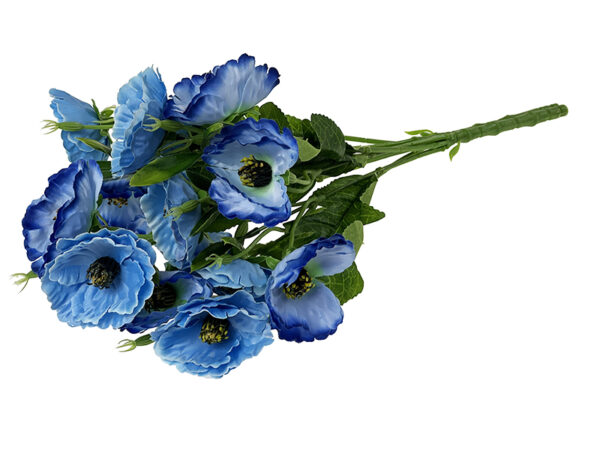 Img E6153