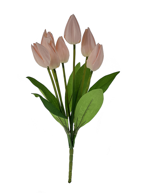 Tulipan T89 Pastelowy Róż1
