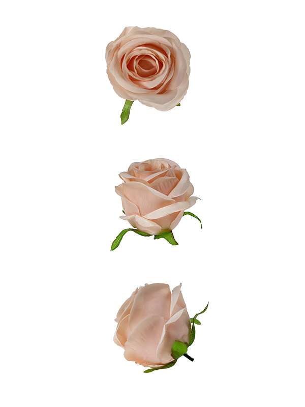 Róża pąk główka kwiatowa W705 Brzoskwiniowy (9cm)