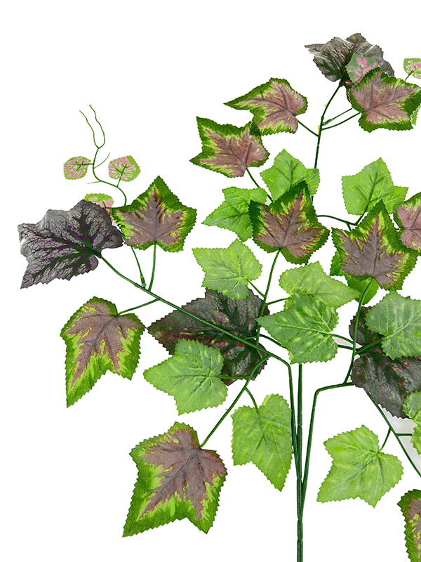 Liść winogronu FYPT12 Green/brown (65cm)