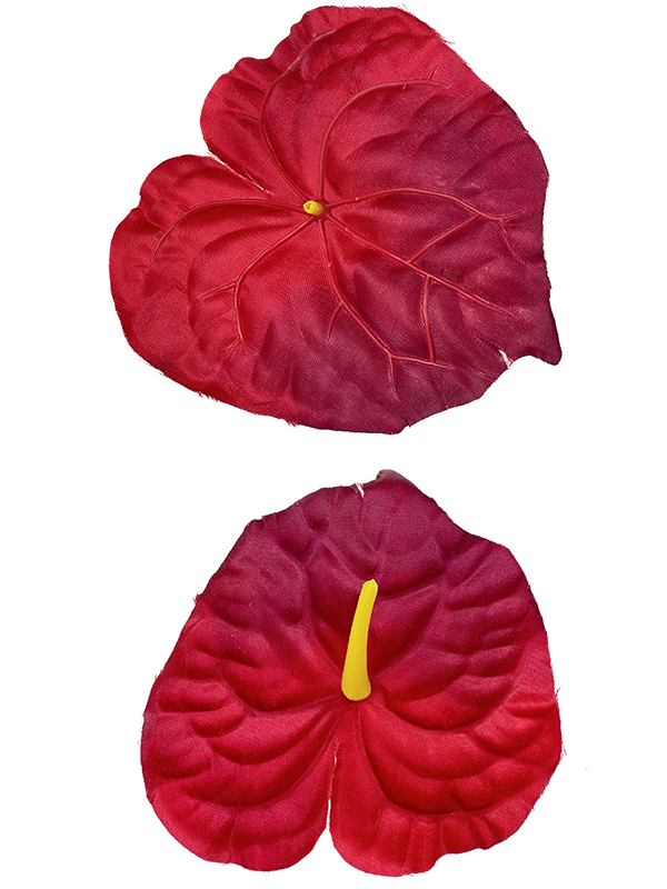 Anturium główka wyrobowa L1022 Czerwony/bordo (15 cm)