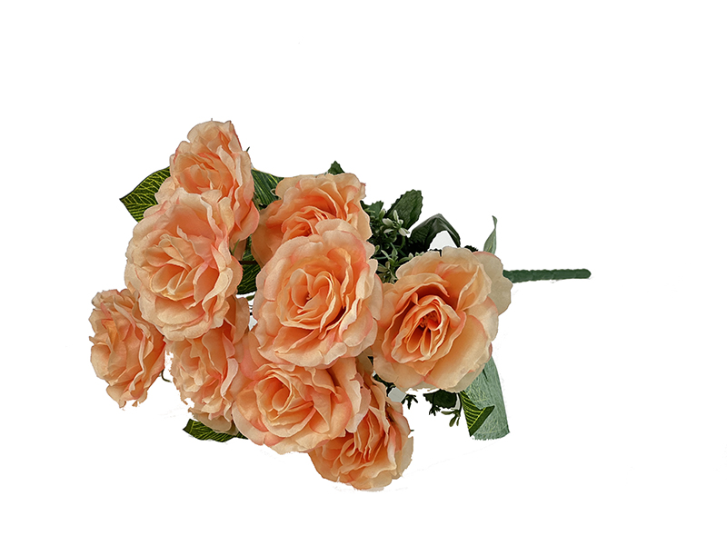 Róża z białym dodatkiem L300 Brzoskwiniowy (40cm)