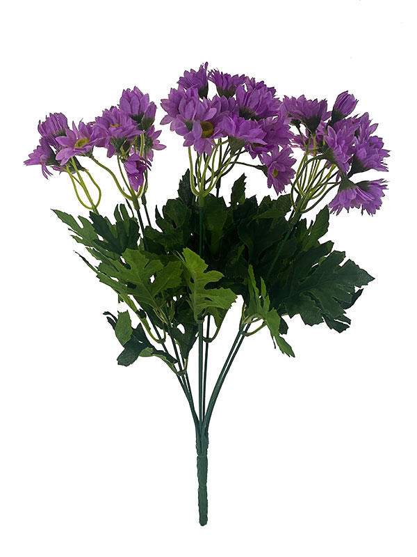 Img E3741