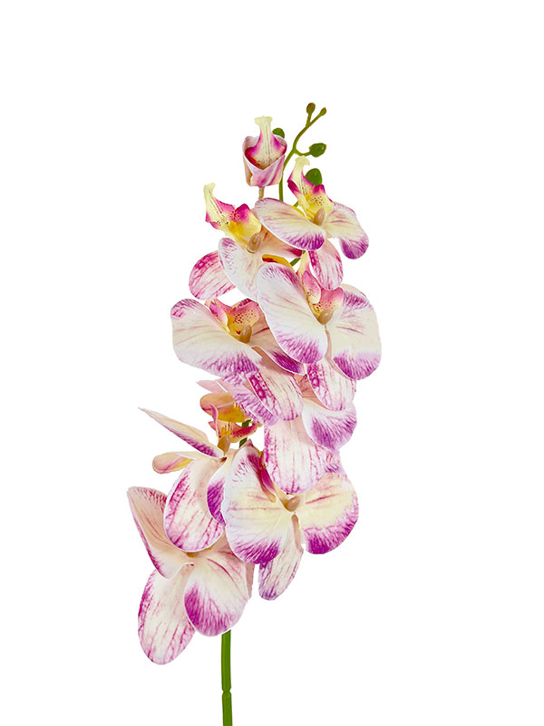 Orchidea pojedyncza L054 ASS1 (96 cm) - Biało-różowy