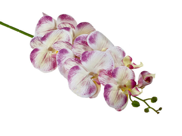 Orchidea pojedyncza L054 ASS1 (96 cm)