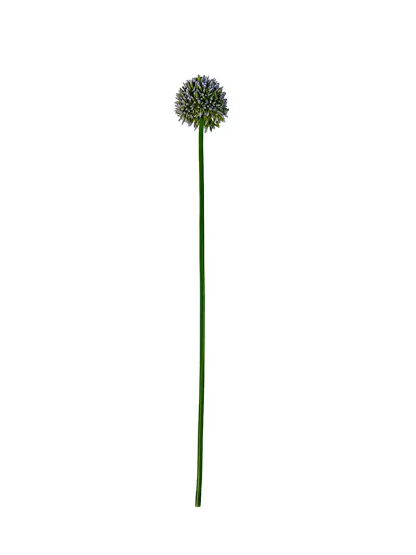 Img 3362