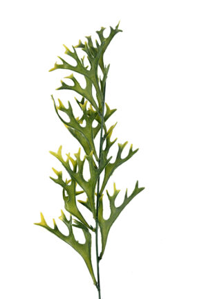 Dodatek Łosie Rogi E075 (60cm)