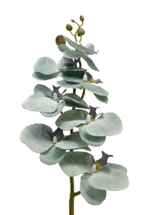 Długa gałązka storczyk CV04070-J-17 7 kwiatów (90cm)