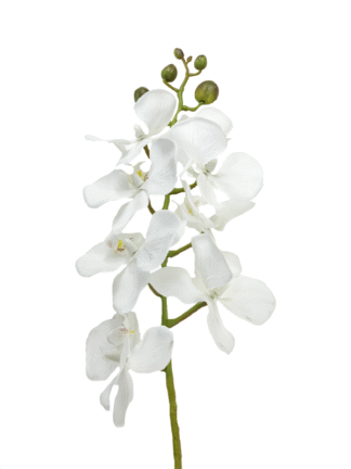 Długa gałązka storczyk CV04068-1-W 7 kwiatów (90cm)