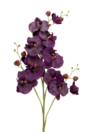 Storczyk długi pojedynczy 95 cm 0R009 (fuksja)