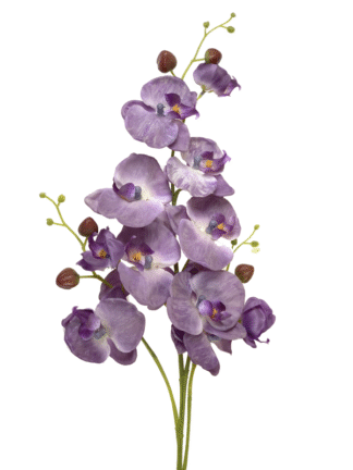 Storczyk długi pojedynczy 95 cm (jasny fiolet)