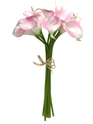 Kalia jasny róż pęczek  42-14B (9szt.)