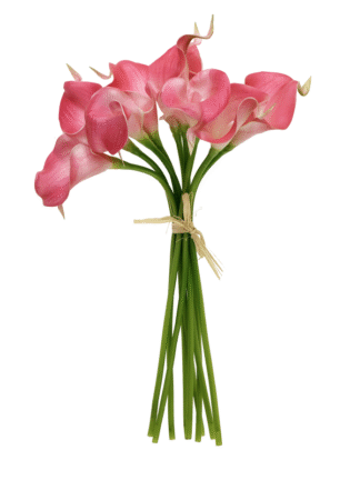 Kalia różowa pęczek  42-14B (9szt.)