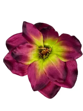 Magnolia główka kwiatowa M729 Fuksja/Zieleń (18 cm)
