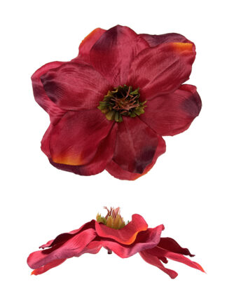 Magnolia główka kwiatowa M729 Bordowa z odcieniami (18 cm)