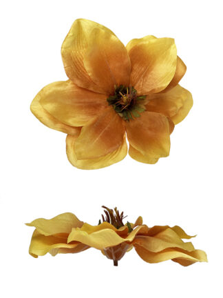 Magnolia główka kwiatowa M729 Złoto/żółta (18 cm)