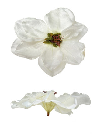 Magnolia główka kwiatowa M729 Biała (18 cm)