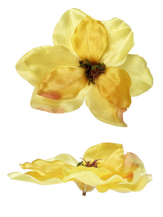 Magnolia główka kwiatowa M729 Jasno żółta (18 cm)