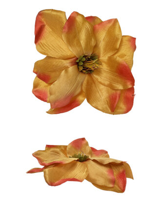 Magnolia główka kwiatowa M729 Ceglana (18 cm)