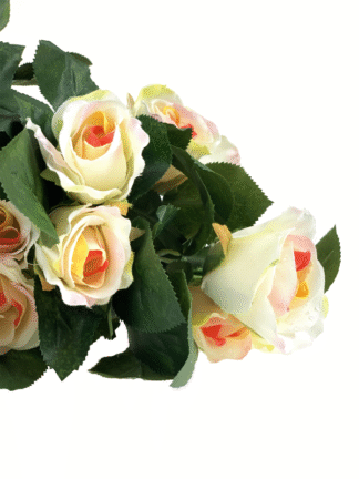 Duży bukiet 14 róż + krople rosy HDD6282 (kolor herbaciany)