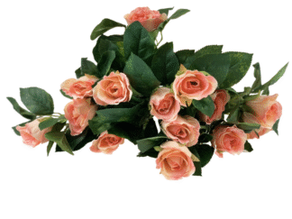 Duży bukiet 14 róż + krople rosy HDD6282 (pastelowy róż)