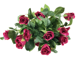 Duży bukiet 14 róż + krople rosy HDD6282 (kolor fuksja)