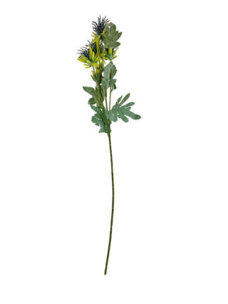 Oset Gałązka dekoracyjna długa "omszała" GA2 ( 75cm)
