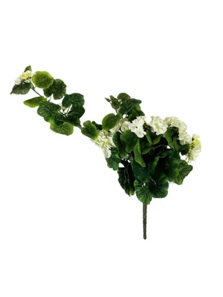 Pelargonia ze zwisem w bukiecie J169A Biała (70 cm)