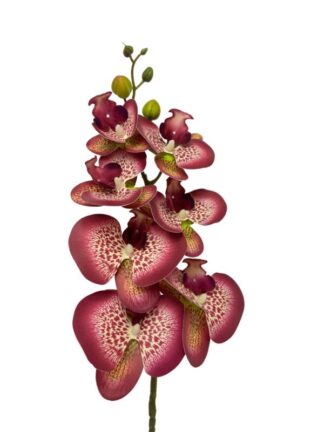 Storczyk silikonowy gałązka "jak żywy" OP4-2