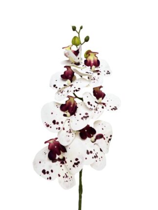 Storczyk silikonowy gałązka "jak żywy" OP4-4