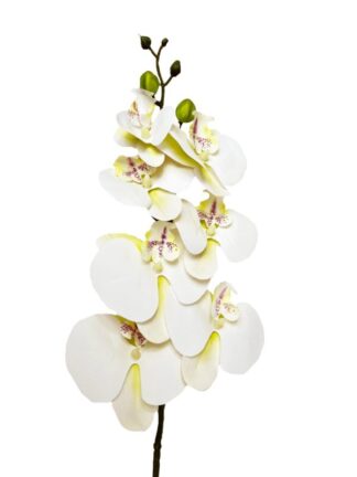 Storczyk silikonowy gałązka "jak żywy"  OP4-8