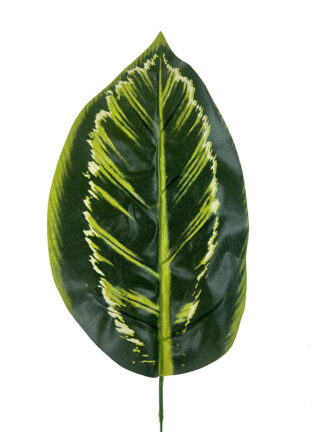 Liść tropikalny L93