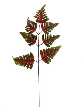 Liść paproci  L383