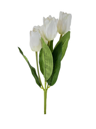 Bukiet Tulipan x 5  AFL 0801 biały (31 cm)