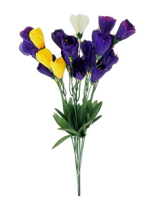 Frezja 3 kolory (pęczek 10 sztuk)