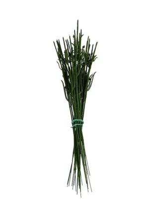 Łodyga pojedyncza Goździk N017 (35 cm)