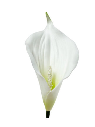 Kalia główka kwiatowa CW-1 (3 kolory) (14 cm)