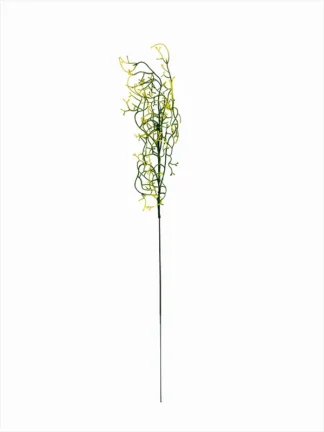Dodatek E202 (60 cm) Kolory