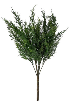 Dodatek Jałowiec B 403 gałązki w pęczku 12 szt. (47 cm)