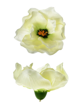 Magnolia główka wyrobowa L-001A Ecru