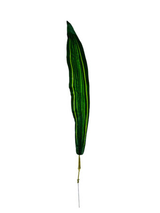 Liść podłużny Fenix KDGL21 (55cm)
