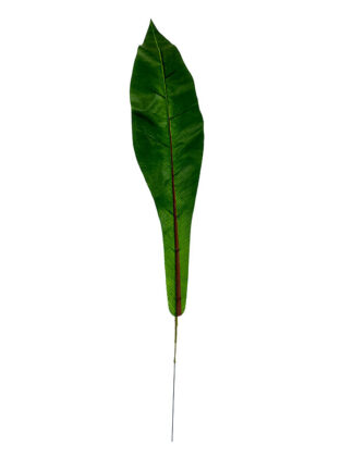Liść podłużny Fenix KDGL10 (65cm)