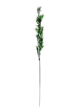 Dodatek zielony  E019
