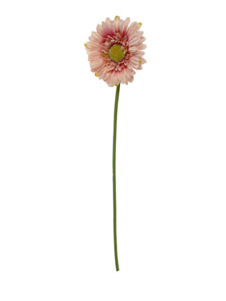 Gerbera pojedyncza G022 55 cm (jasny róż)