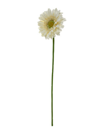 Gerbera pojedyncza G022 55 cm (kremowa)