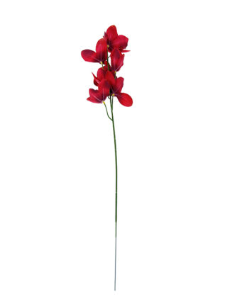 Orchidea storczyk gałązka L1026 k. czerwony ciemny (60 cm)
