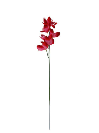 Orchidea storczyk gałązka L1026 k. czerwony/róż (60 cm)
