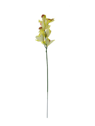 Orchidea storczyk gałązka L1026 k. ecru (60 cm)
