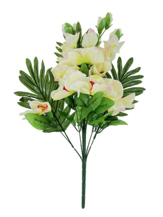 Bukiet palma, mieczyk, orchidea H208C k. ecru (60cm)